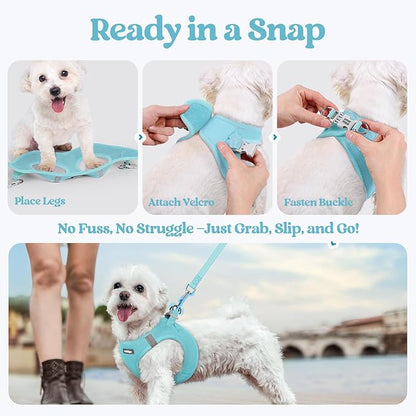 rabbitgoo Dog Harness Small Sized and Leash Set, Step in Soft Light Puppy Vest, Breathable Mesh Pet Harness, Reflective for Safe Easy Walking, Mint Blue M