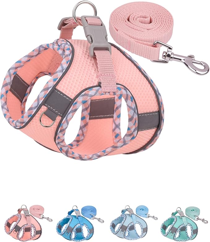 Petank Dog Harness for Small Medium Dogs No Pull, Puppy Harness and Leash Set, Step in Dog Harness for Walking, Running, Training, Small Dog Vest, Medium Dog Vest (Pink, M)