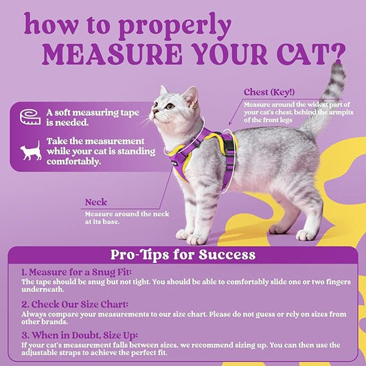 rabbitgoo Cat Harness and Leash for Walking, Escape Proof Soft Adjustable Vest Harnesses for Cats, Easy Control Breathable Reflective Strips Jacket, Purple&Yellow, M