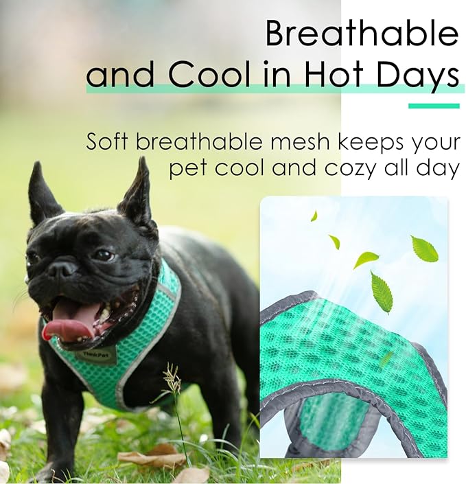 ThinkPet Reflective Breathable Soft Air Mesh No Pull Puppy Choke Free Over Head Vest Ventilation Harness for Puppy Small Medium Dogs (Neon Green,L)
