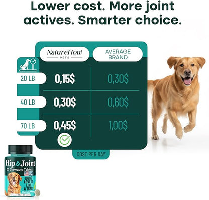 Natureflow Hip and Joint Supplement for Dogs, Advanced Dog Joint Supplement with Green-Lipped Mussel, Glucosamine, MSM & Chondroitin, Zero Sugar Chewable Pills, Made in USA, Large Medium Small Breeds