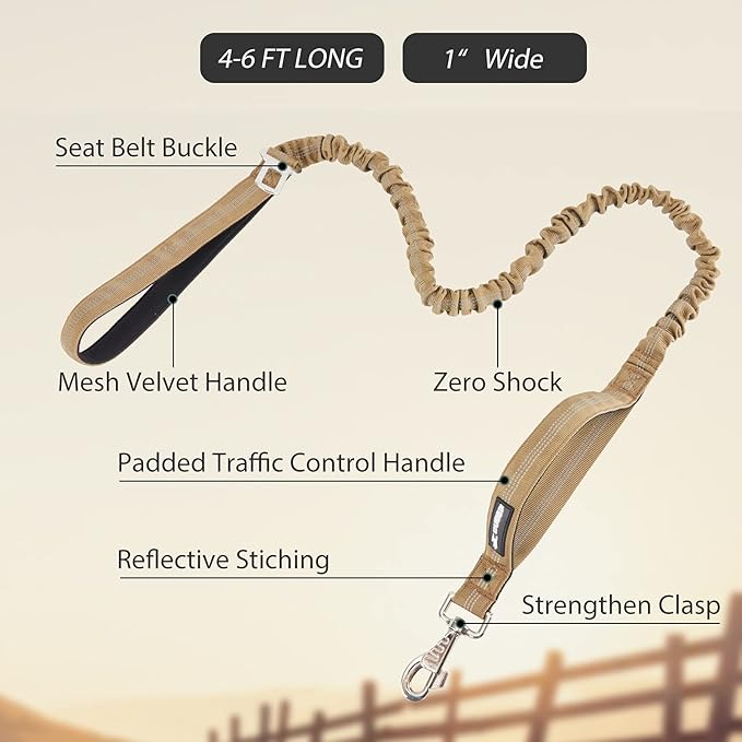 BUMBIN 6Ft Dog Leash Large Dogs, Bungee Dog Leash with 2 Handles, Heavy Duty Leashes for Medium Small Dogs, No Pull Shock Absorbing ，with Car Seat Belt for Training, Brown