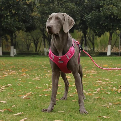 Dog Harness No Pull Adjustable Reflective,for Medium and Large Small Dog with Leash 59.06in (Fuscia, XL)