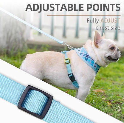 PUPTECK Soft Mesh Dog Harness and Leash Set Pet Puppy Cat Comfort Padded Vest No Pull Harnesses, Light Blue, XS