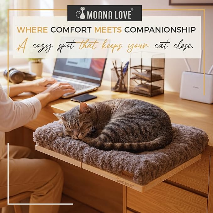 Moana Love Cat Window Bed - Cozy Window Perch for Cats Inside - Stylish Cat Furniture with Soft Cushion, Perfect Kitten Bed & Cama para Gatos for Sunbathing, Hamaca para Gatos