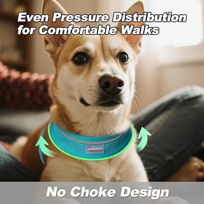 Dog Harness and Leash Set,Step in Small Sized Dog Harness,Soft Mesh,No-Chock,Reflective Adjustable,Secure with Hook & Loop Fastener,Puppy Vest for Small,Medium Dogs(Ocean Blue,L)