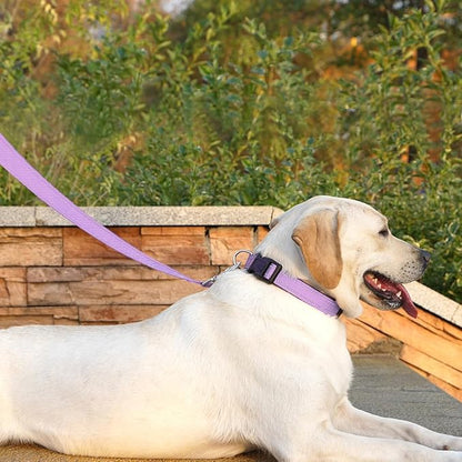 Reflective Dog Leash 6 FT Padded Handle Nylon Dogs Leashes for Large Dogs Lavender