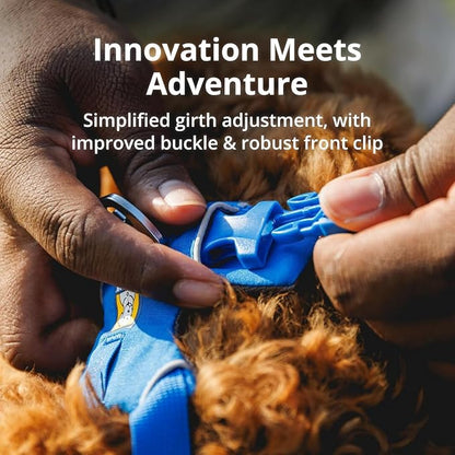 Ruffwear, Front Range Dog Harness, Reflective Soft Padded Everyday Harness with Dual Leash Clips, Adjustable and Lightweight Fit for Training or Walking for All Dogs, Spring Mountains, Medium