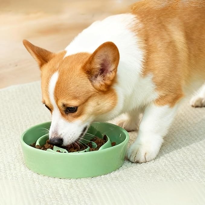 TRUVIC Ceramic Slow Feeder Dog Bowls, 1.5 Cup Puzzle Slow Feeder Bowls for Fast Eaters, Ceramic Dog Food Dish no Black Chin, Puzzle Bowl for Medium Dogs, Green