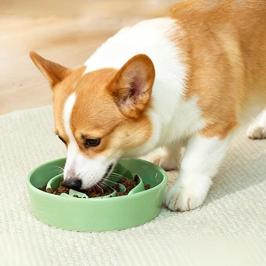 TRUVIC Ceramic Slow Feeder Dog Bowls, 1.5 Cup Puzzle Slow Feeder Bowls for Fast Eaters, Ceramic Dog Food Dish no Black Chin, Puzzle Bowl for Medium Dogs, Green