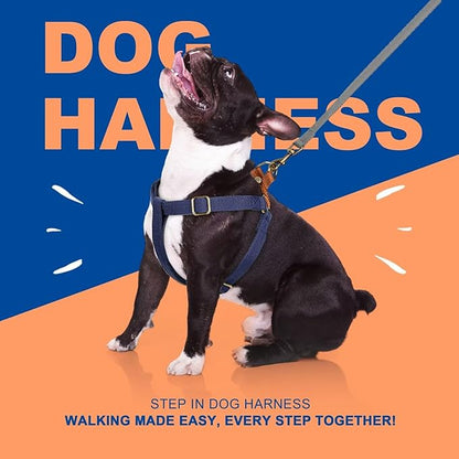 Didog Step in Dog Harness with Metal Buckles, Freedom Nylon Dog Halter Vests for Medium Dogs Easy Walking Training(M:Chest 19-28", Dark Blue)