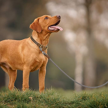 Mile High Life | Premium Leather Dog Leash | Strong Rope Leash | Leather Handle | Zinc Alloy Strong Clasp | Small Medium Large Dogs | 4/5/6 Feet(Brown, 60 Inch (Pack of 1))
