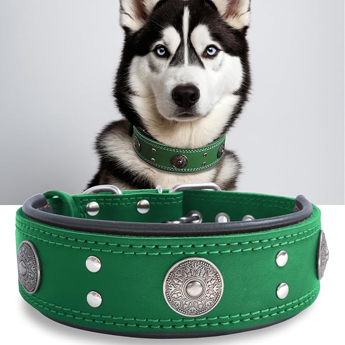 Leather Dog Collar, 2 inches Wide Heavy Duty Genuine Leather Collars, Handmade, Soft, and Luxury, Eye-catching Best Choice for Large and Medium Breed Dogs, Green,15-19 ins