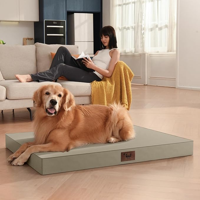 Tail Stories Outdoor Orthopedic Dog Bed for Medium Dogs & Cats, Waterproof Flat Pet Mat with Egg Crate Foam & Washable Removable Oxford Cover, 30x20 Inch, Khaki