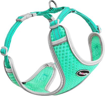 ThinkPet Reflective Breathable Soft Air Mesh No Pull Puppy Choke Free Over Head Vest Harness for Puppy Small Medium Dogs and Cats Teal Large