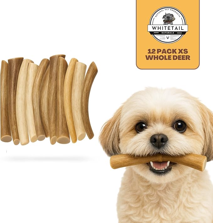 WhiteTail Naturals - Deer Antlers for Extra Small Dogs (12 Pack) Natural Dog Antler Chews for Puppies & Small Aggressive Chewers - Long Lasting Chew Bones