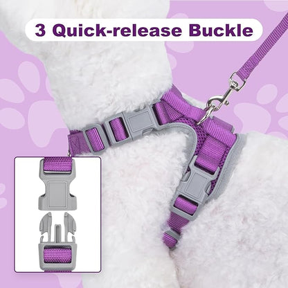Small Dog Harness and Leash Set，No Pull Adjustable Pet Harness for Small Dogs ，Breathable Mesh Reflective Dog Vest Harness (Purple, S)