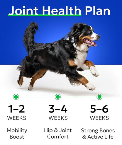 Bark&Spark Senior Advanced Glucosamine Chondroitin for Dogs - Hip Joint Pain Relief - Old Dog Joint Chews Large & Small Breed - Hip Joint Chews Joint Health Care Treats - 120Ct