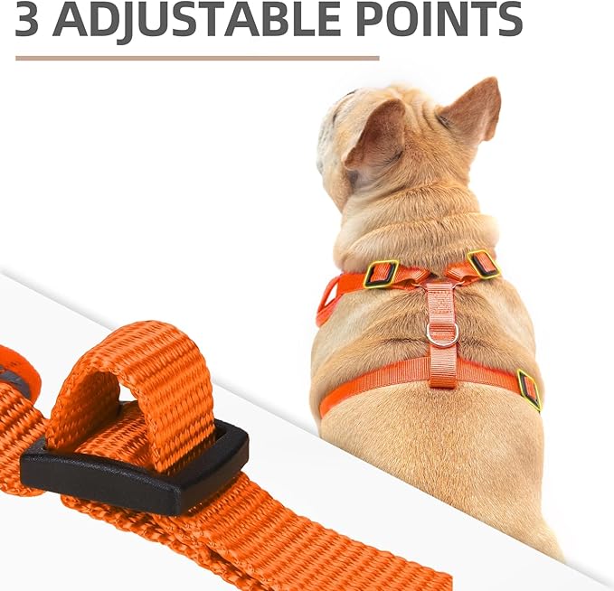 PUPTECK Small Dog Harness and Leash Set, No Pull Adjustable Puppy Cat Harness, Reflective Soft Mesh Pet Vest Small Sized, Orange, S