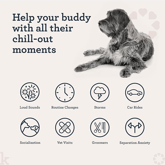 Kradle Bliss Bars for Dogs - Peanut Butter Flavored Calming - GABA L-Theanine - On The Go Packaging - Supports a Calm Demeanor - 6 Bars