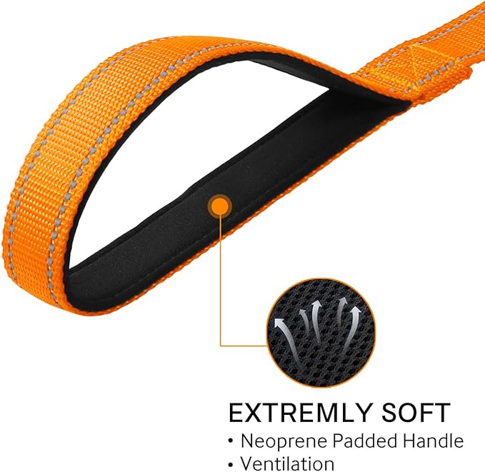 Joytale Double-Sided Reflective Dog Leash, 6 FT/5 FT/4 FT, Padded Handle Nylon Heavy Duty Leashes for Medium & Large Dogs Walking, Orange, 6FT