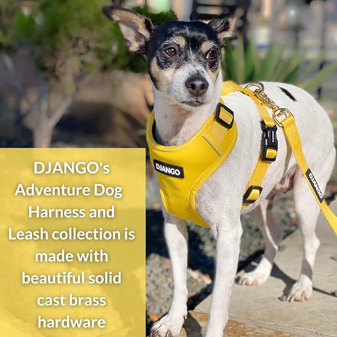 DJANGO Adventure Dog Leash – Strong, Comfortable, and Stylish Dog Leash with Solid Brass Hardware and Padded Handle - Designed for Outdoor Adventures and Everyday Use (Dandelion Yellow)