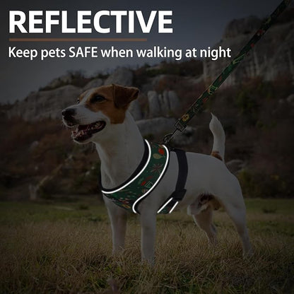 PUPTECK Soft Mesh Dog Harness and Leash Set Pet Puppy Cat Comfort Padded Vest No Pull Harnesses, St. Patrick's Deep Green, S