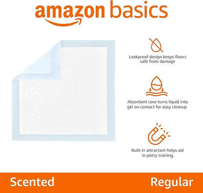 Amazon Basics Scented Dog Pee Pads for Potty Training, Regular,30 Pack