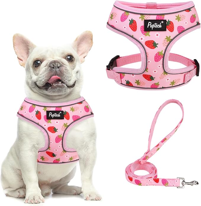PUPTECK Soft Mesh Dog Harness and Leash Set Pet Puppy Cat Comfort Padded Vest No Pull Harnesses, Strawberry Pink, M