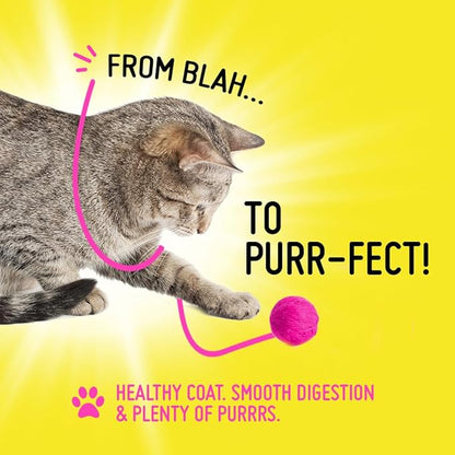Koby Cat Probiotic Powder – Made with Clean USDA Organic Ingredients for Gut, Digestive, Skin & Immunity - Cat Food Topper - Vet Preferred Probiotics for Cats of All Ages – 7 Billion CFUs, 60 Servings