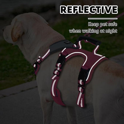 PUPTECK Escape Proof Dog Harness and Leash Set Upgraded No Pull Reflective Dog Vest with Lift Handle, Easy Control Pet Harness for Medium Large Dogs Training Walking Running, Fuchsia, L