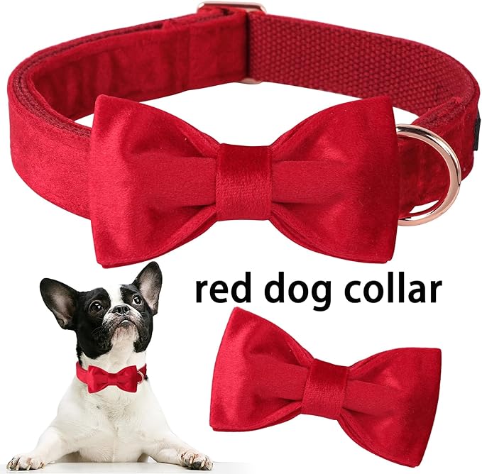 ARING PET Bowtie Dog Collar,Velvet Dog Collars with Removable Bowtie, Christmas Adorable Dog Collar, X-Small.