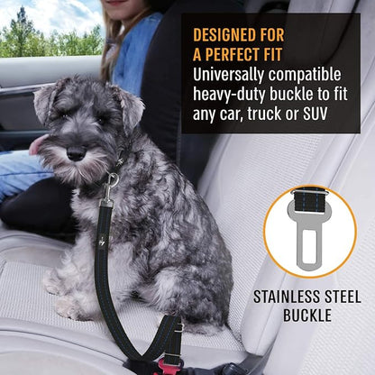 Active Pets Blue Car Seat Belt for Dogs, Attaches to Harness & Collar, Adjustable 18" - 24" Travel Restraint System Fits Small - Large Pups for Safety & Comfort, Essential Pet Supplies & Accessories