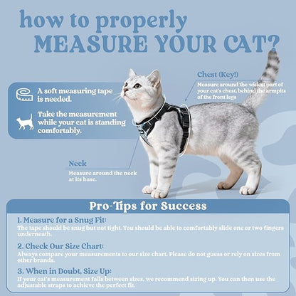 rabbitgoo Cat Harness and Leash for Walking, Escape Proof Soft Adjustable Vest Harnesses for Cats, Easy Control Breathable Reflective Strips Jacket, Doodle Gray,M