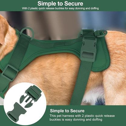 No Pull Lightweight Dog Harness: Adjustable Durable Breathable Mesh Pet Vest Harness with Soft & Comfortable Cushion, for Small Medium Large Dogs (XS, Pine Green)