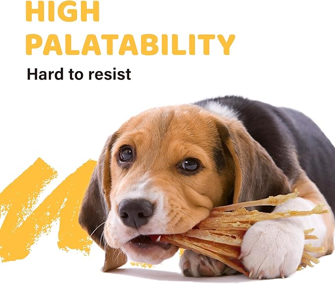 iPaw Turkey Tendon for Dogs 10 Packs/Box Bulk Pack, Ingredient Sourced from USA, Hypoallergenic, All Natural Human Grade Puppy Chew, Dog Treats for Signature Series, Rawhide Alternative