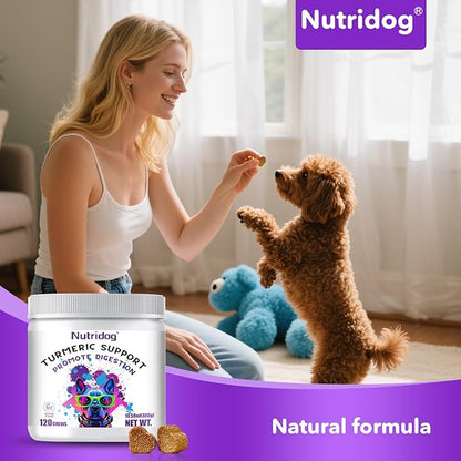 Turmeric Chews for Dogs with Curcumin & Coconut Oil Joint Pain Relief, Anti-Inflammatory Antioxidant Support, 120 Salmon-Flavored Soft Chews for Hip & Joint Mobility (120 Ct, Salmon)