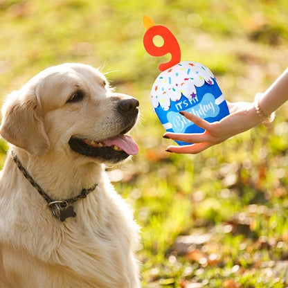 Dog Birthday Cake Toy Accessories for Girl Boy Gifts, Squeaky Plush Toy for Dog Birthday Party Decor Favor for Large, Medium and Small Dogs(9th,Blue)