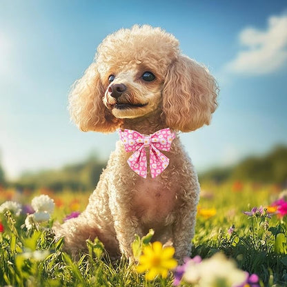 Floral Dog Collar with Lady Bow - Spring Daisy Dog Collars Girly Pink Sailor Bowtie Collars, Adjustable Metal Buckle Female Dogs Collar for Small Medium Large Dogs M