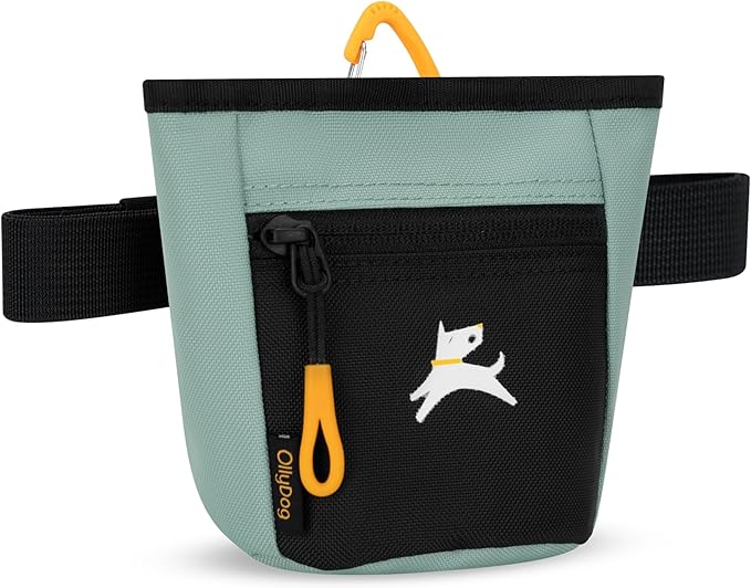OllyDog Goodie Treat Bag, Dog Treat Pouch, Waist Belt Clip for Hands-Free Training, Magnetic Closure, Dog Training and Behavior Aids, Three Ways to Wear (Surf)