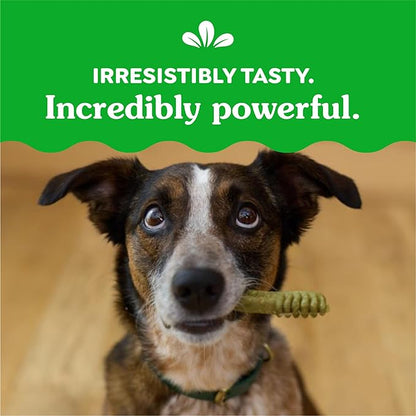 Greenies Original Regular Dental Dog Treats, 54 oz. Pack (54 Treats)