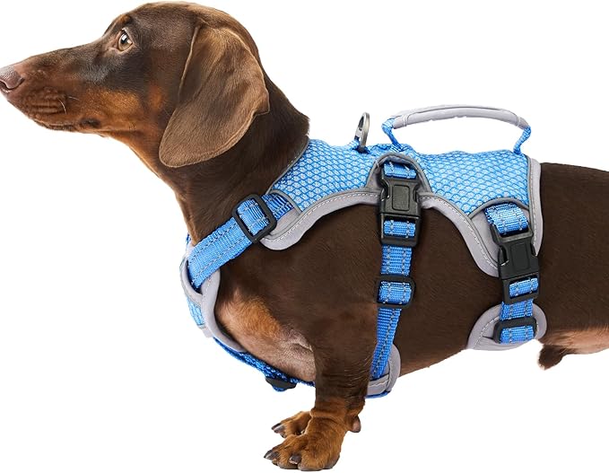 Huntboo Escape Proof Dog Harness, Escape Artist Harness, Reflective Dog Harness with Handle, Durable,Adjustable Vest for Small Medium Large Dogs Walking, Training, and Running Gear(Sea Blue,S)
