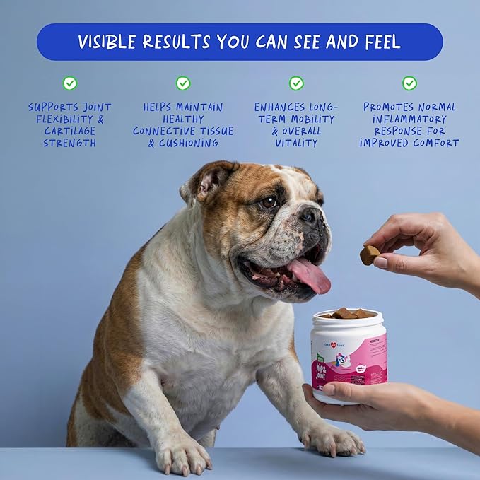 Hip and Joint Supplement for Dogs - with Collagen, Glucosamine for Dogs - Fish Oil - Hip & Joint Support, Ease Inflammation, Antioxidant. (Max Strength)