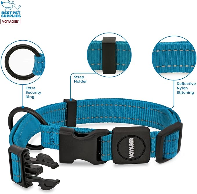 Best Pet Supplies Voyager Reflective Dog Leash or Collar with Neoprene Handle, for Small, Medium, and Large Breed Puppies, Cute and Heavy Duty for Walking, Running and Training - Turquoise, S