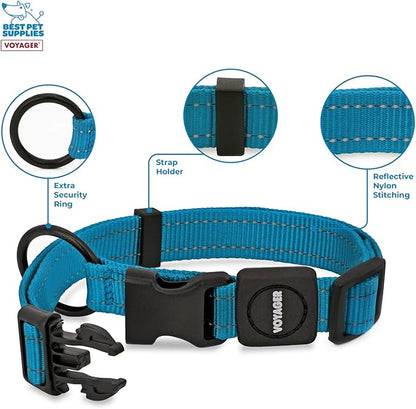 Best Pet Supplies Voyager Reflective Dog Leash or Collar with Neoprene Handle, for Small, Medium, and Large Breed Puppies, Cute and Heavy Duty for Walking, Running and Training - Turquoise, L