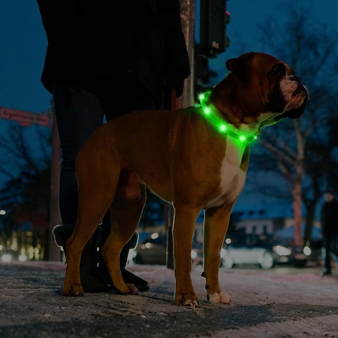 HIGO 2-Pack Light Up Dog Collar - Silicone LED Dog Collar Rechargeable Glow in The Dark, afety LED Dog Necklace Lights for Night Walking (Green)