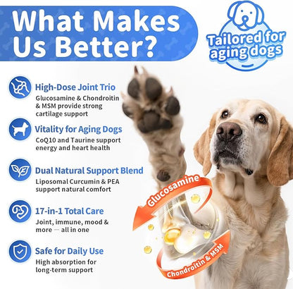 POPPAW Senior Advanced Joint Supplement for Dogs – 17-in-1 Glucosamine for Dogs with Chondroitin – Hip & Joint Pain Relief Pills – Mobility Support Chews – Large & Small Breeds - Beef Flavor – 90Ct