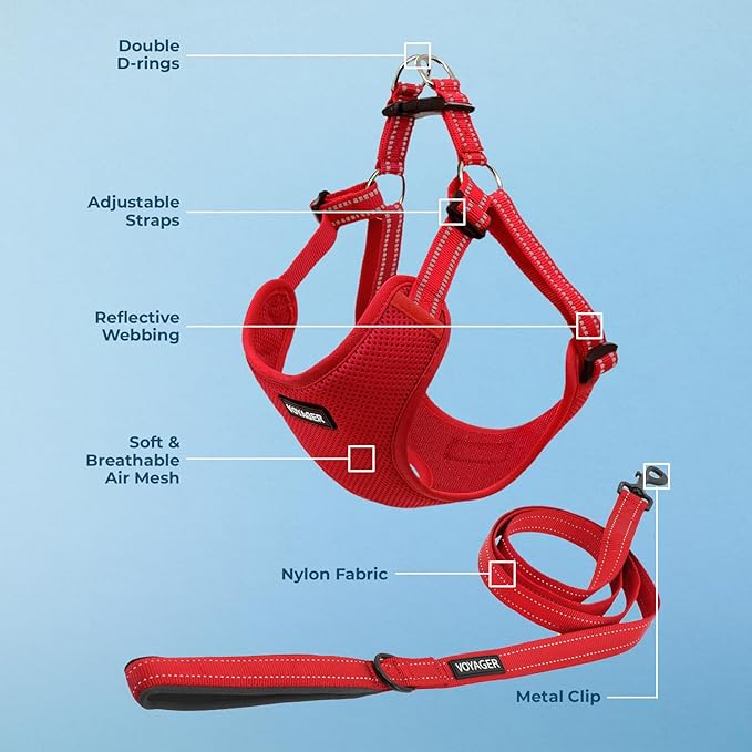 Best Pet Supplies Voyager Adjustable Step-in Flex Breathable Mesh Dog Harness for Small Medium Large Dogs Leash Set (Red), M