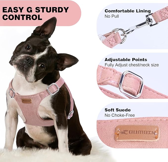 Dog Harness and Leash Set, XXS No Pull Adjustable Puppy Harness with Multifunction Pink Dog Leash and Dog Collar, Soft No Choke Escape Proof Pet Harness Vest for Small Dogs and Cats (Pink, S)