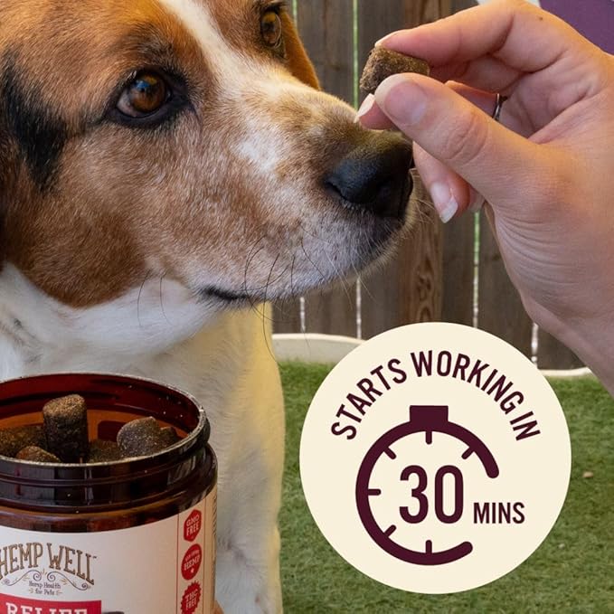 Hemp Well Relief Dog Soft Chews – Organic Hemp Soft Chews for Hip and Joint Health, Long Lasting Mobility Support (1 Pack)